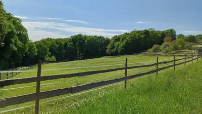 6-Zimmer-Gewerbeimmobilie kaufen in Jennersdorf – 172 m², € 559.000 – Bild 8 von 47