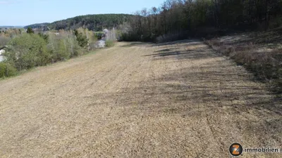 Grundstück kaufen in Güssing – 10 791 m² – Bild 3 von 4