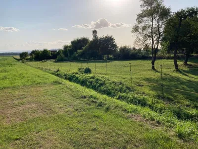 Grundstück kaufen in Leibnitz – 5 085 m², € 59 – Bild 2 von 10