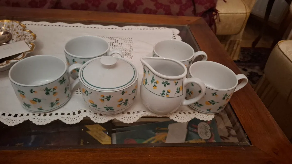 Tognana Italien Porzellan Kaffeeservice - Vintage, € 50,- (8850 Murau)