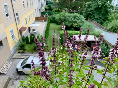 2-Zimmer-Wohnung mieten in Graz – 60 m², € 735 – Bild 12 von 15