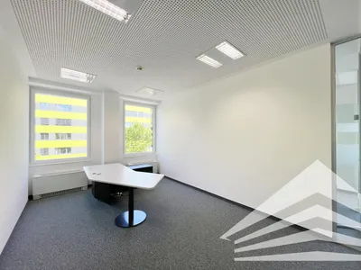 Gewerbeimmobilie mieten in Linz – 1 754 m², € 31.579 – Bild 6 von 13