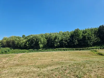 Grundstück kaufen in Wels-Land – 896 m², € 245 – Bild 2 von 4