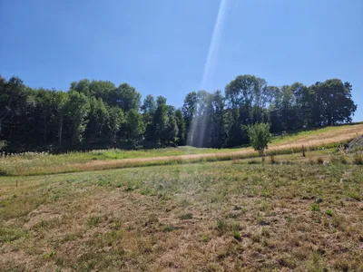 Grundstück kaufen in Wels-Land – 896 m², € 245 – Bild 3 von 4