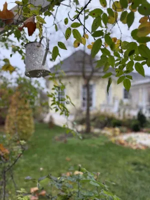 Haus kaufen in Bruck an der Leitha – 122 m², € 499.000 – Bild 9 von 30