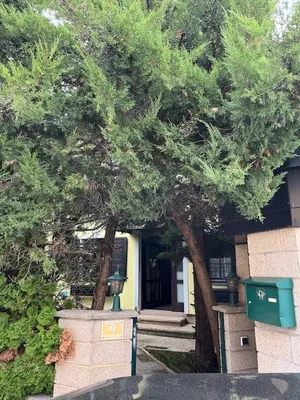 6-Zimmer-Haus kaufen in Eisenstadt - Umgebung – 260 m², € 209.000 – Bild 76 von 83
