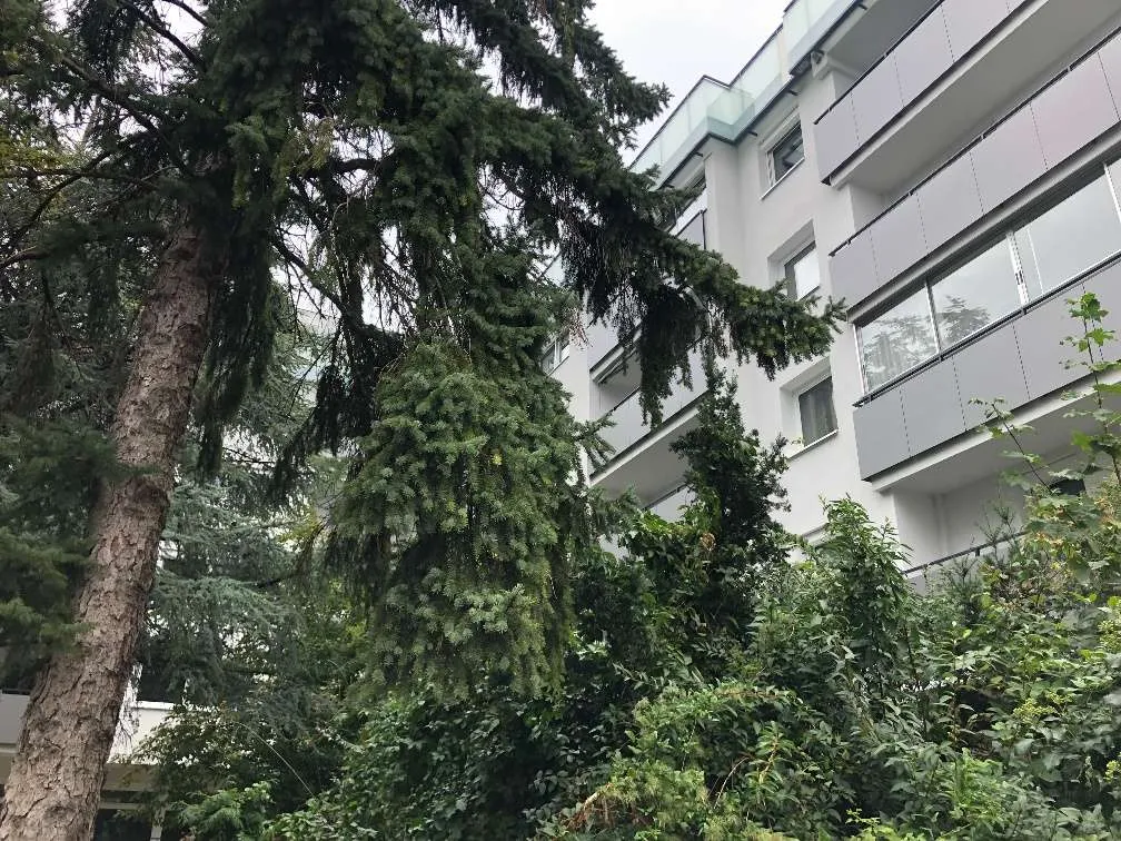 Wohnung – Wien - Ansicht 3