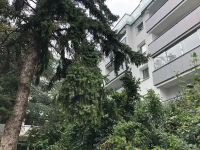 Alte Donau, 3-Zimmer Wohnung – Bild 3
