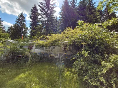 Immobilie kaufen in Lilienfeld – 26 m², € 7.500 – Bild 26 von 39