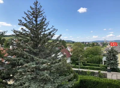 11-Zimmer-Gewerbeimmobilie kaufen in Tulln – 270,94 m², € 1.170.000 – Bild 10 von 14