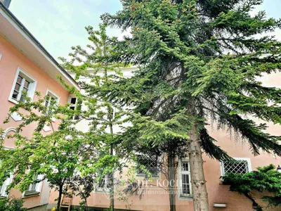 5-Zimmer-Wohnung kaufen in Korneuburg – 166 m², € 379.000 – Bild 13 von 17