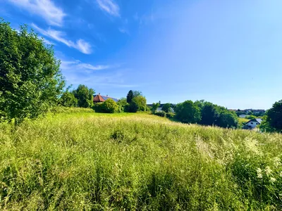 Grundstück kaufen in Steyr-Land – 1 826 m², € 329.000 – Bild 2 von 5