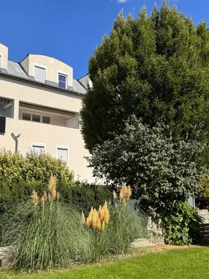 3-Zimmer-Wohnung mieten in Mödling – 116 m², € 2.490 – Bild 8 von 30