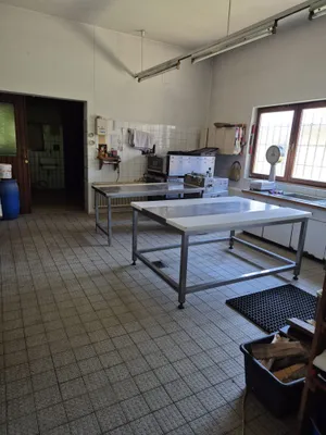 Gewerbeimmobilie kaufen in Sankt Veit an der Glan – 2 156 m² – Bild 9 von 13