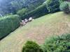 Bild 1 von 10 - Bild