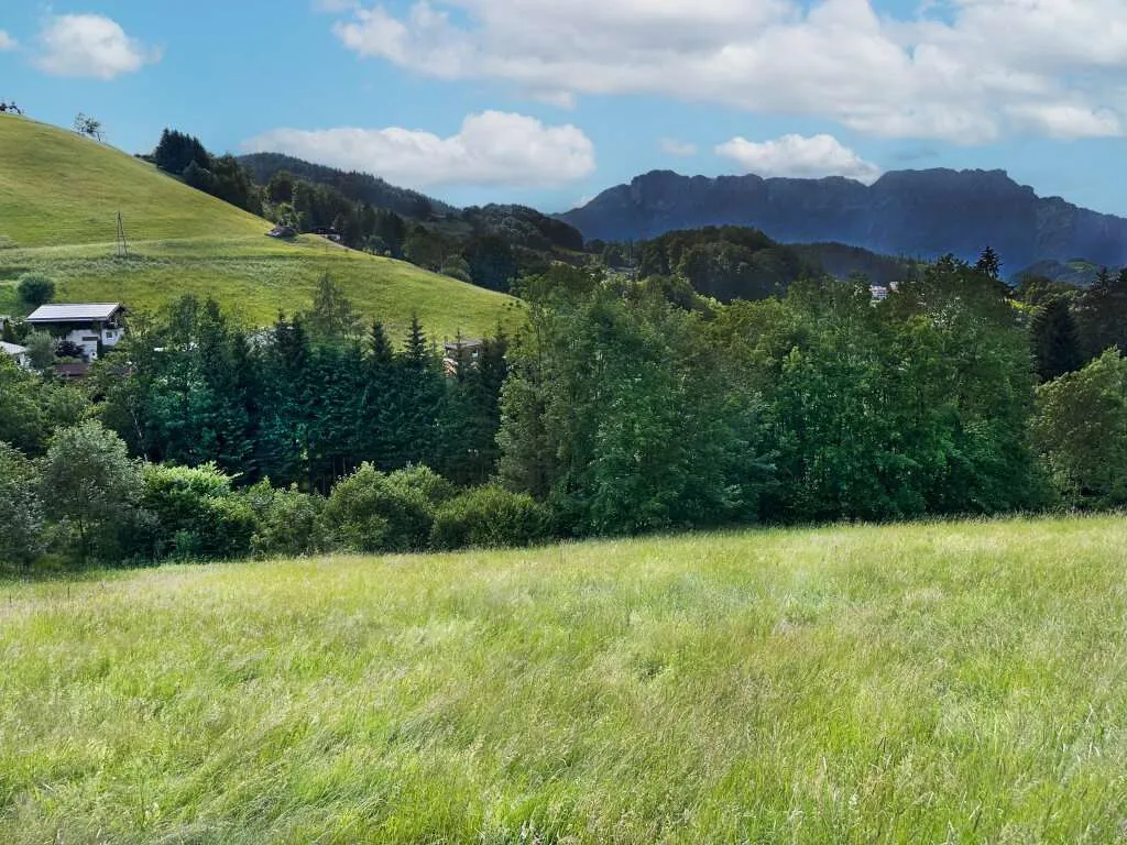Hallein: Baugrundstück mit Panoramablick in Bad Dürrnberg zu verkaufen - Ansicht 3