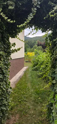 4-Zimmer-Haus kaufen in Neunkirchen – 91 m², € 275.000 – Bild 4 von 37