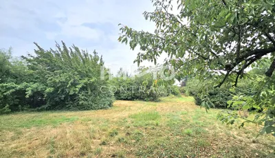 Grundstück kaufen in Neusiedl am See – 11 237 m², € 2.247.400 – Bild 7 von 11