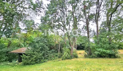 Grundstück kaufen in Neusiedl am See – 11 237 m², € 2.247.400 – Bild 6 von 11