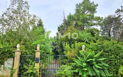Grundstück kaufen in Neusiedl am See – 11 237 m², € 2.247.400 – Bild 8 von 11