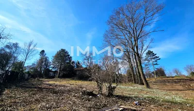 Grundstück kaufen in Neusiedl am See – 11 237 m², € 2.247.400 – Bild 4 von 11
