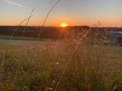 Grundstück kaufen in Steyr-Land – 745 m², € 155.863 – Bild 5 von 5