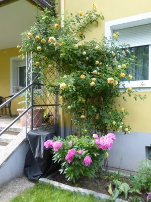 6-Zimmer-Wohnung kaufen in Wien – 150 m², € 799.000 – Bild 23 von 27