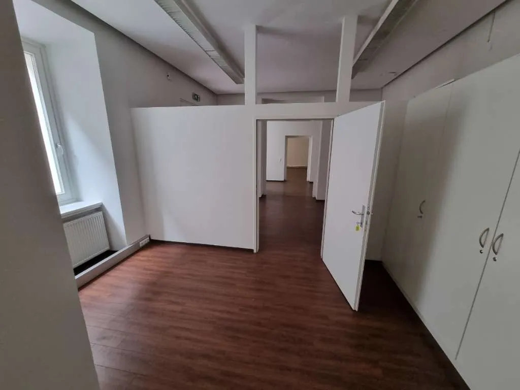 Attraktive Büroräumlichkeiten im Herzen von Graz/ Innere Stadt - Radetzkystrasse - Ansicht 3