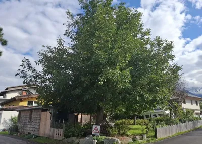 Grundstück kaufen in Innsbruck-Land – 456 m², € 433.200 – Bild 14 von 15