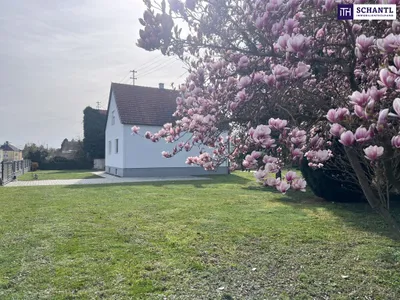 3-Zimmer-Haus kaufen in Oberpullendorf – 100 m², € 155.000 – Bild 6 von 33