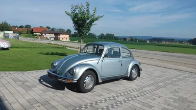 VW Käfer