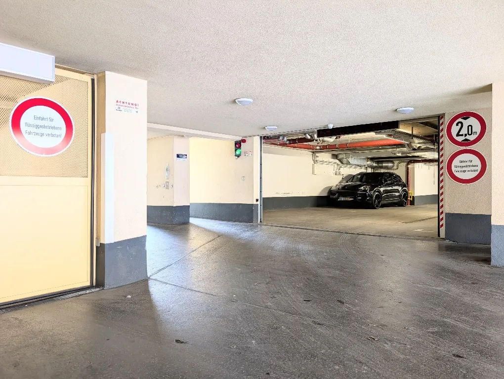 Ebenerdiger Gargenstellplatz 1170 WIen, provisionsfrei - Ansicht 2