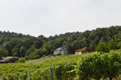 6-Zimmer-Haus kaufen in Südoststeiermark – 190 m², € 960.000 – Bild 17 von 77