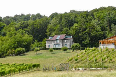 6-Zimmer-Haus kaufen in Südoststeiermark – 190 m², € 960.000 – Bild 18 von 77