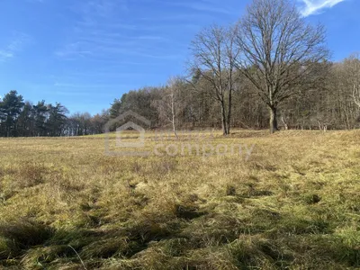 Grundstück kaufen in Jennersdorf – 6 091 m², € 74.000
