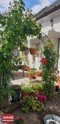 5-Zimmer-Haus kaufen in Krems an der Donau – 149 m², € 219.000 – Bild 2 von 27