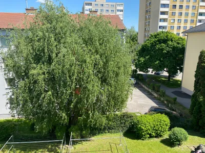 2-Zimmer-Wohnung mieten in Krems an der Donau – 83,62 m², € 769 – Bild 6 von 6