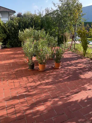 6-Zimmer-Haus kaufen in Wels-Land – 340 m², € 800.000 – Bild 8 von 16
