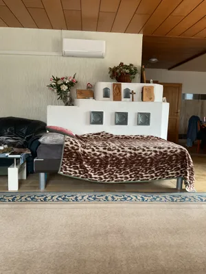 6-Zimmer-Haus kaufen in Wels-Land – 340 m², € 800.000 – Bild 9 von 16