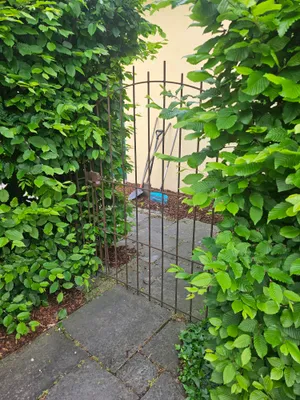 3-Zimmer-Haus mieten in Tulln – 95 m², € 1.076 – Bild 3 von 12