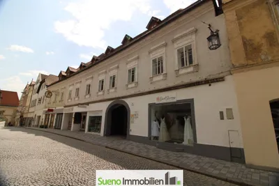 Haus kaufen in Steyr – 1 312 m², € 1.399.000 – Bild 2 von 24
