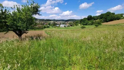 Grundstück kaufen in Güssing – 10 381 m², € 62.500 – Bild 3 von 6