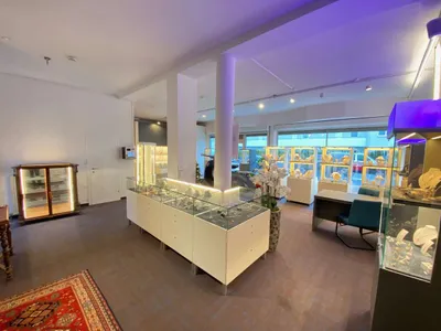 Gewerbeimmobilie mieten in Linz – 237 m², € 1.950 – Bild 6 von 14