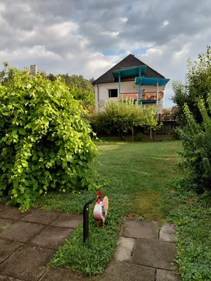 2-Zimmer-Wohnung mieten in Voitsberg – 43 m², € 720 – Bild 7 von 10