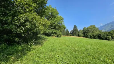 Grundstück kaufen in Spittal an der Drau – 2 371 m², € 61.000 – Bild 8 von 10