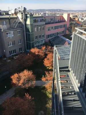 Gewerbeimmobilie mieten in Wien – 976 m², € 19.130 – Bild 11 von 24