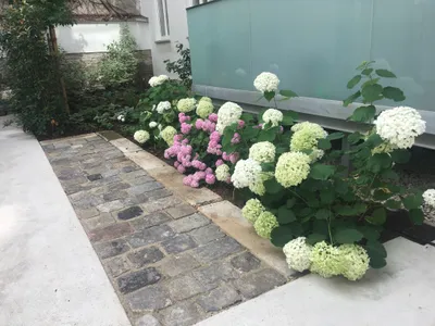 4-Zimmer-Wohnung mieten in Wien – 96 m², € 1.920 – Bild 26 von 26