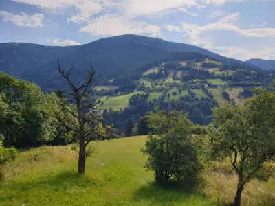 5-Zimmer-Immobilie kaufen in Spittal an der Drau – 190 m², € 519.000 – Bild 4 von 11