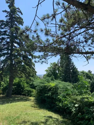 Grundstück kaufen in Korneuburg – 1 746 m², € 1.498.000 – Bild 2 von 14