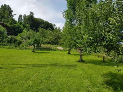 Grundstück kaufen in Braunau am Inn – 3 201 m², € 149.000 – Bild 7 von 9